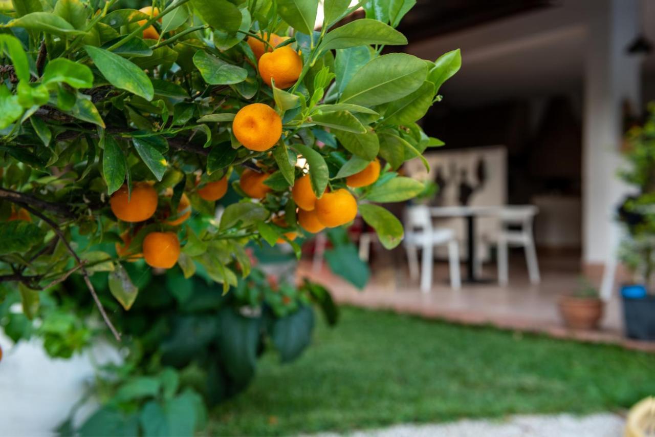 Villa Megna - Green Paradise B&B 팔레르모 외부 사진