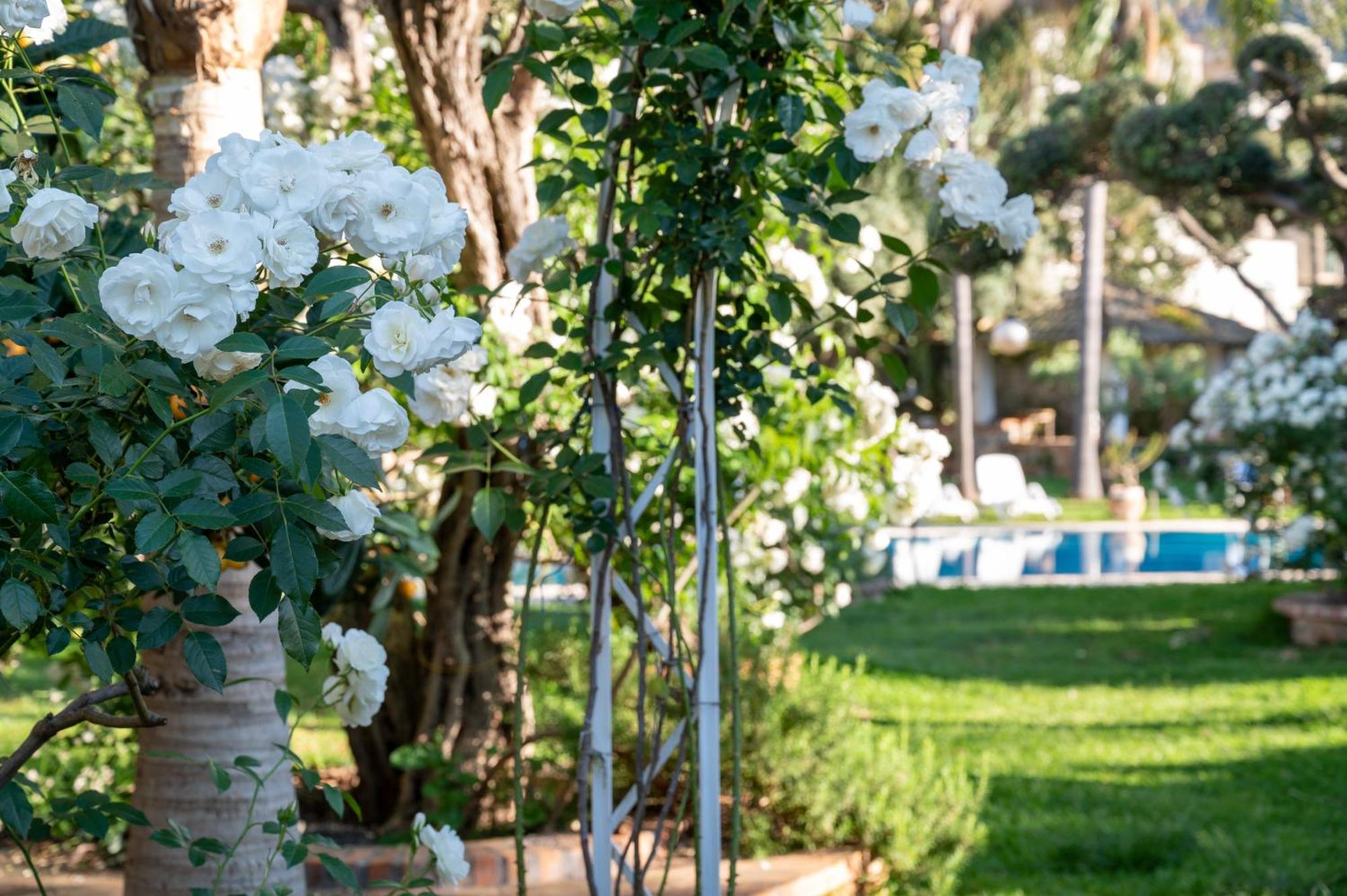 Villa Megna - Green Paradise B&B 팔레르모 외부 사진