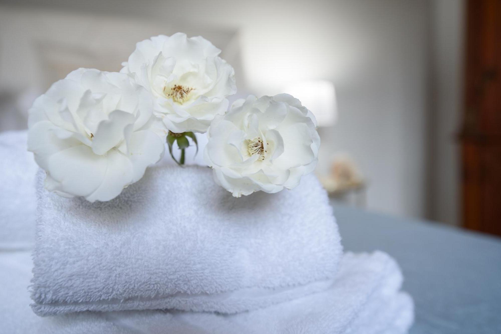 Villa Megna - Green Paradise B&B 팔레르모 외부 사진
